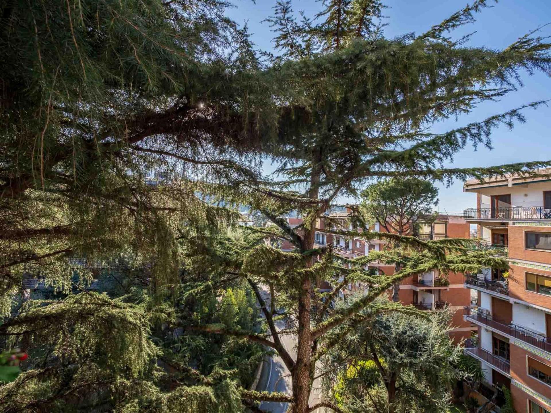 Pine House Sorrento Appartement Buitenkant foto